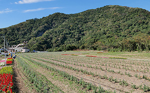 近10年增溫加速！氣候變遷十大衝擊不可不知