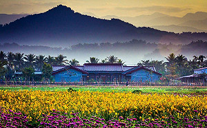 出去走走！台灣最美30個經典小鎮讓你深入在地