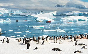 (影)解鎖地球最後秘境　登陸南極的三種方式