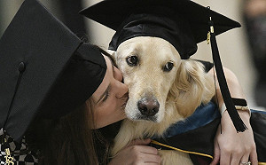 全勤陪伴輪椅主人上學　狗狗獲頒榮譽文憑