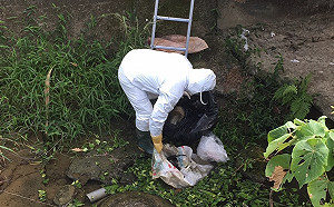 嘉縣追查中埔鄉棄雞屍來源 查獲最高重罰100萬