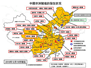 中國「非洲豬瘟」延燒逾半數省市 台灣防疫不能怠慢！(圖)
