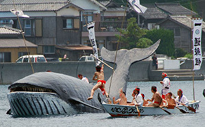 日本欲重啟商業捕鯨 擬表明退出IWC