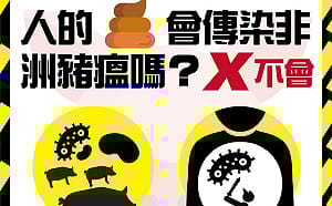 吃豬瘟食物回台排泄怎麼辦？防檢局：人糞不傳染