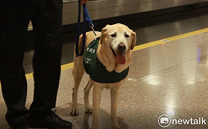 與檢疫犬共同把關！防檢局年後將招募2名領犬員