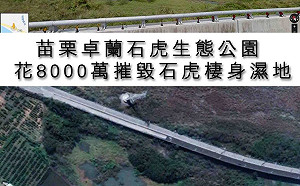 苗縣竟花8千萬蓋生態公園？石虎棲息地遭破壞
