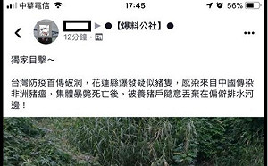 豬隻屍體遭棄置橋下　防檢局：臨床判斷沒有非洲豬瘟症狀