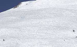 阿爾卑斯山雪崩 男童遭活埋40分鐘命大倖存