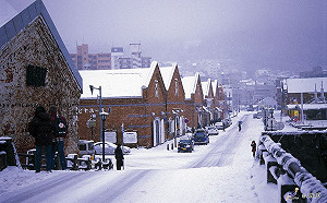 遊日注意！日本多處暴風雪　函館機場暫時封閉跑道