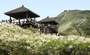 探訪淡蘭秘境回味歷史！這3條古道帶你穿越百年時光