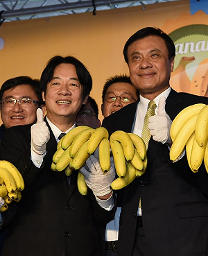 「立法委員選舉選區變更」 賴清德、蘇嘉全面對面會商達成共識