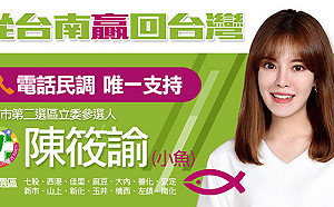 「村姑」拚立委補選 拱賴清德2020選總統