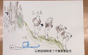 公開檜木群位置引山老鼠？林務局手繪影片訴初衷