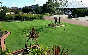 (影)看這些照片好療癒！網友：爽過看成人片