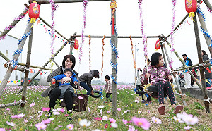 拍美照來這！雲林莿桐花海綻放至春節連假