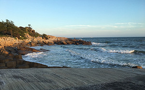 快訊》夭壽！金門又現海漂死豬 防疫人員現場拉封鎖線