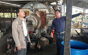 高市鼓勵用飼料取代廚餘養豬！每頭豬補助2200元