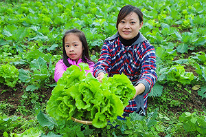 另類端午體驗！到花蓮當一日農夫挖地種瓜