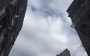 出門要帶傘！ 鋒面＋東北季風來襲北台灣降雨機率高