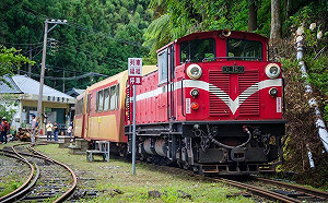 春節出遊不怕塞！全台四大旅遊熱點交管資訊看這裡