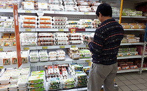 政院因應雞蛋缺貨漲價  南蛋北送增加進口