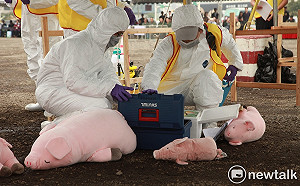 桃市防非洲豬瘟防疫演練 鄭文燦：按照農委會SOP進行