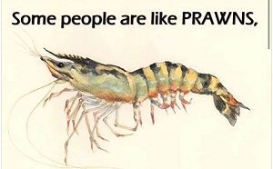 「蝦子圖」諷政治人物 蔡正元臉書論「模糊的臉」