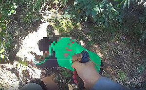 「警察已離開，可以回來吃便當」傻傻通緝犯受騙就逮