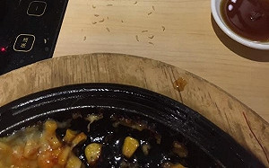 吃韓式年糕火鍋驚見活蛆亂竄  衛生局稽查後這樣說