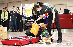 入境注意！9天春節連假加強檢驗 防檢署曝常見「６種」違規名單 