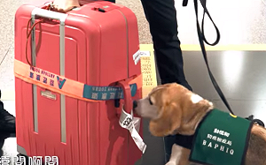 讀者投書》出國帶什麼肉啦？你媽知道你這樣擾民嗎？