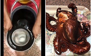 (影)章魚要用洗衣機旋轉才好吃？網友奇招拿出「這個」替代