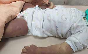 女童疑遭虐死案3人遭聲押　小媽媽移送少年法庭