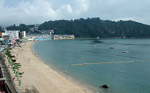 香港長州東灣驚見豬屍  是否非洲豬瘟病死調查中