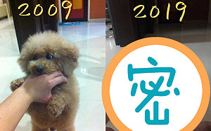 寵物「10年對比」結局是這樣　一張照讓飼主秒淚崩