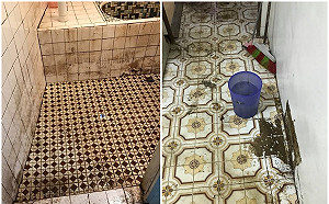 超噁！房客屋內養鳥「放飛」5年　退租發現全屋鳥屎發霉