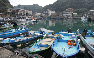 年後放寬鯖鰺捕撈？漁業署：年後禁漁期一直都是20天