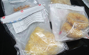 北市抽驗竟發現「白木耳」農藥超標！專家提安全選購技巧