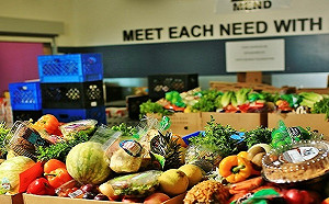 邱智淵觀點》推動全球食品安全機制 維護世界人類健康