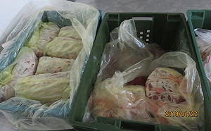 板橋後埔戰鬥雞疑用過期食材  衛生局封存近3噸原料