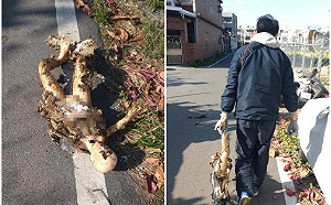 誰家女友走丟了？社區掃地驚見全裸「矽膠情人」遭棄屍