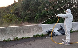 竹縣遭棄百隻死雞確診禽流感  防檢局追來源將開罰