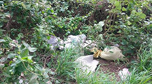 新豐棄置死雞確診H5病毒  新竹縣府追流向開罰