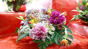 春節逛花市最喜氣！建國花市推日本牡丹花展