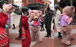 又見狼性！上海迪士尼小熊登場10秒 遭中國遊客拉耳受傷退場