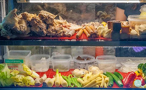 破解！「鹽水雞」到底是不是淘汰雞......