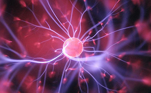 神的福音？以色列研究團隊宣稱：一年內完全消滅癌症