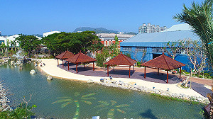 市區走春新選擇 悠遊高港水花園蓬萊秘境