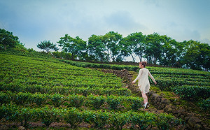 新北拼觀光推動小鎮旅遊　看夕陽、體驗步道、浮潛