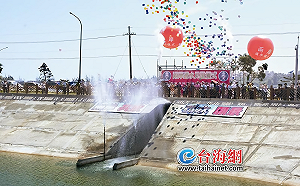 通水完後通電？福建擬透過海底電纜向金馬供電